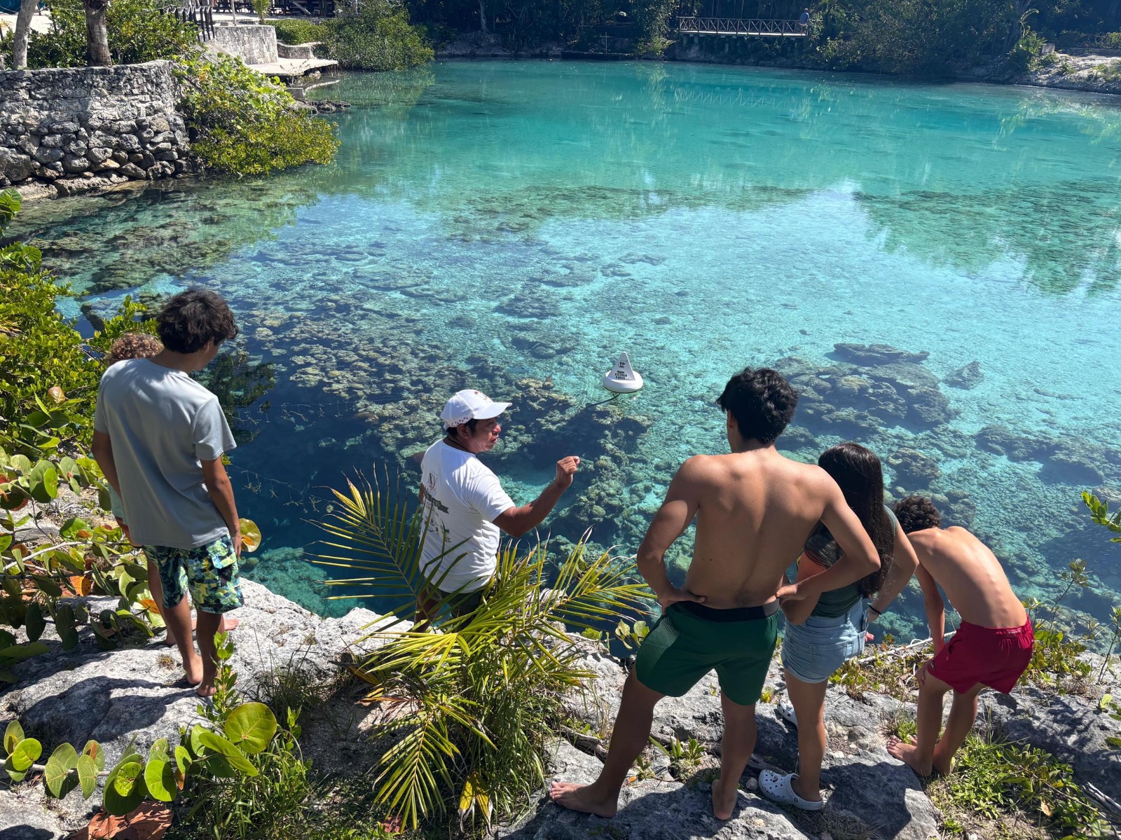 Avanza restauración coralina que realiza la FPMC en la laguna de Chankanaab, con resultados alentadores