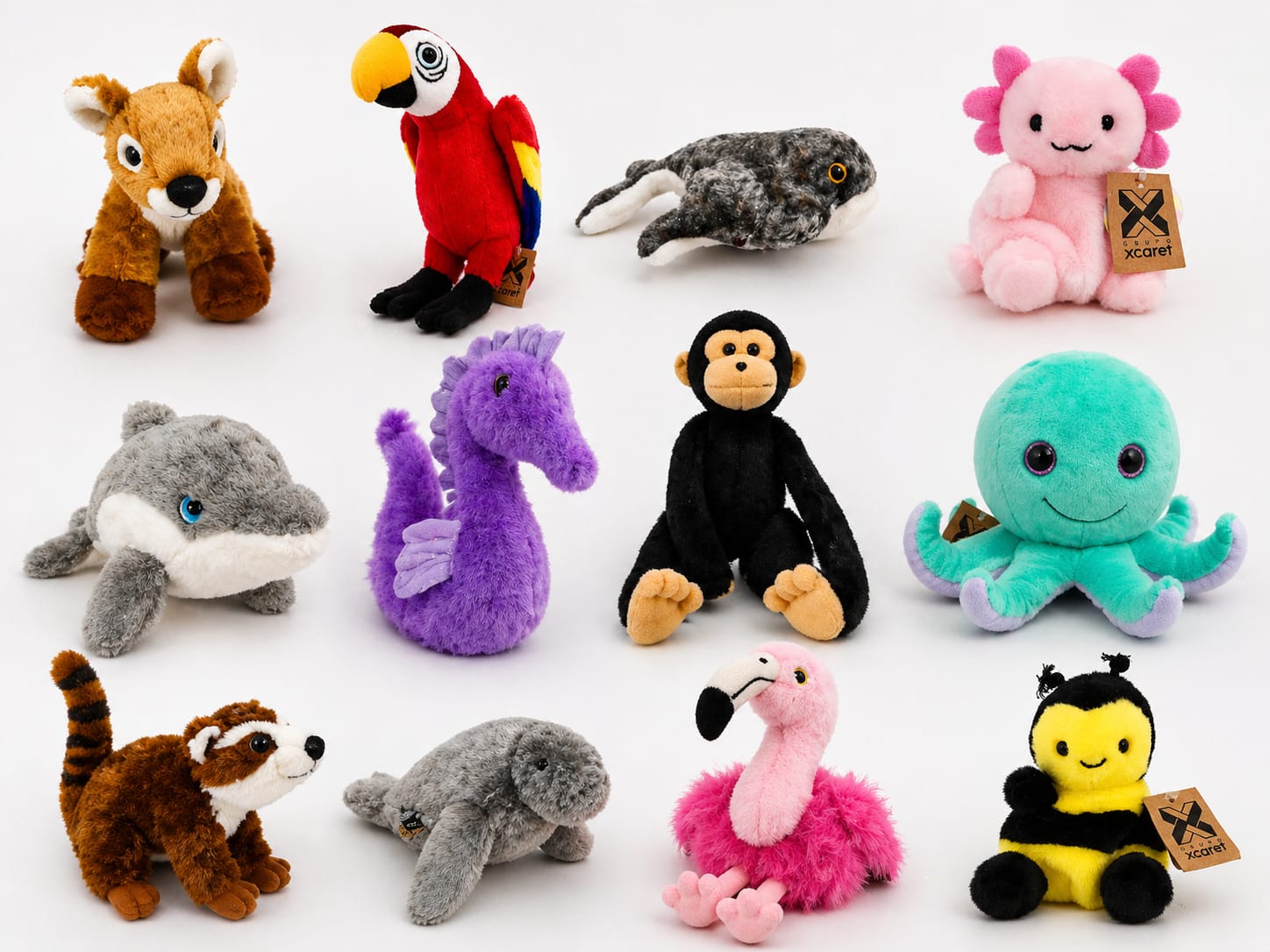 Fortalece IBANQROO la educación y cultura ambiental mediante alianza con Grupo Xcaret