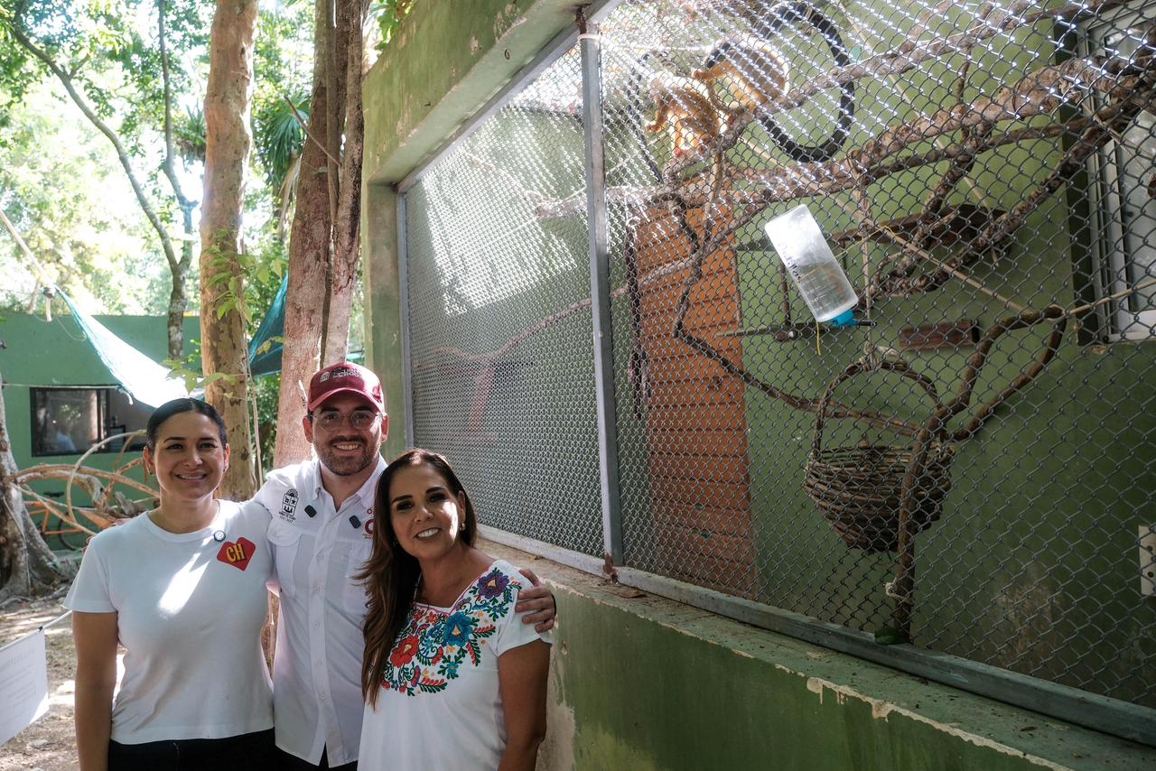 Reitera Mara Lezama combate frontal al maltrato animal; 10 primates asegurados reciben atención en UMA especializada