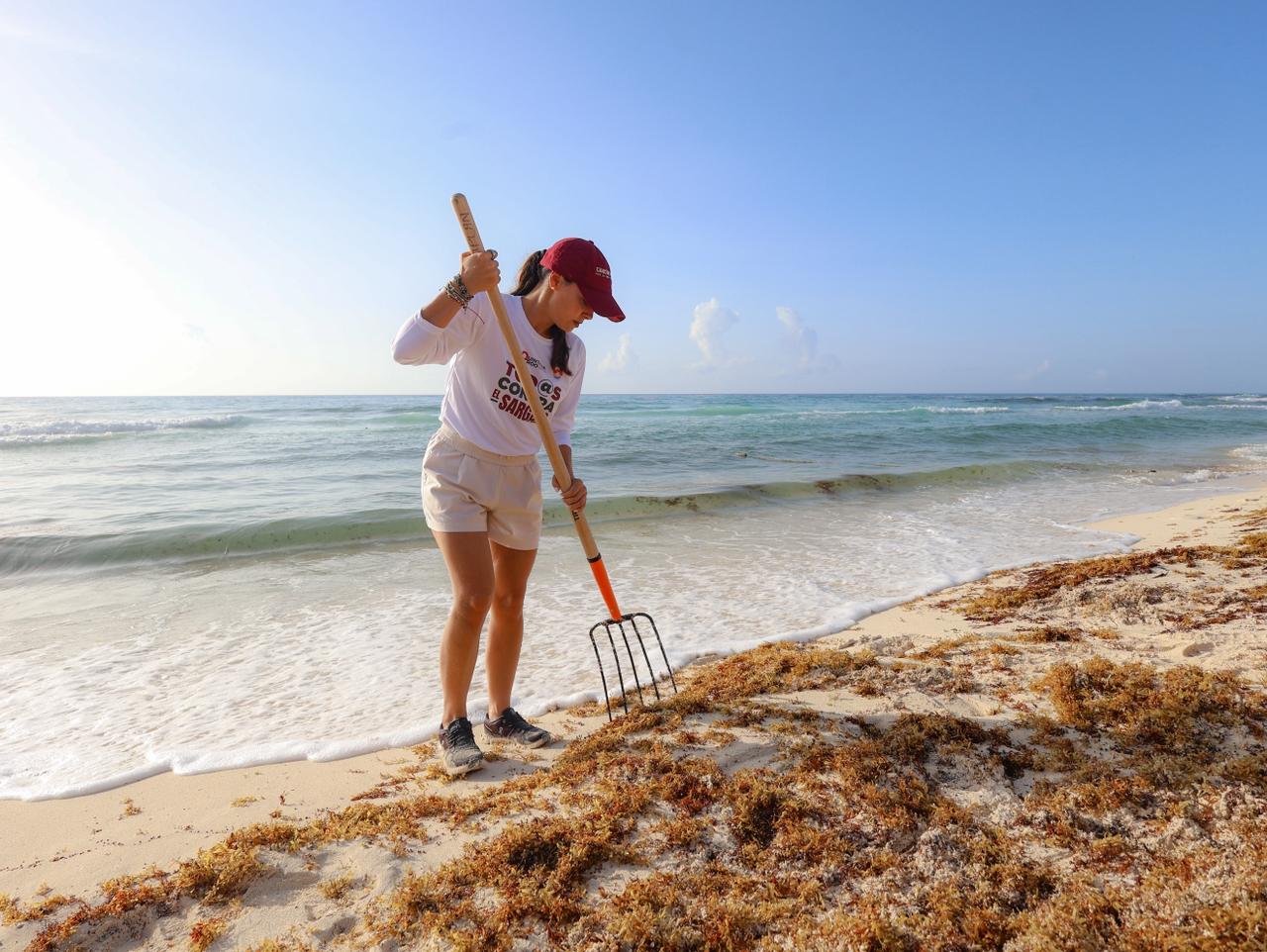 FORTALECE ANA PATY PERALTA EL CUIDADO DE PLAYAS CON MÁS DE 25 MIL TONELADAS DE SARGAZO RECOLECTADAS DESDE OCTUBRE DE 2024