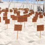 REFRENDA AYUNTAMIENTO DE BJ COMPROMISO CON LA CONSERVACIÓN DE TORTUGAS MARINAS