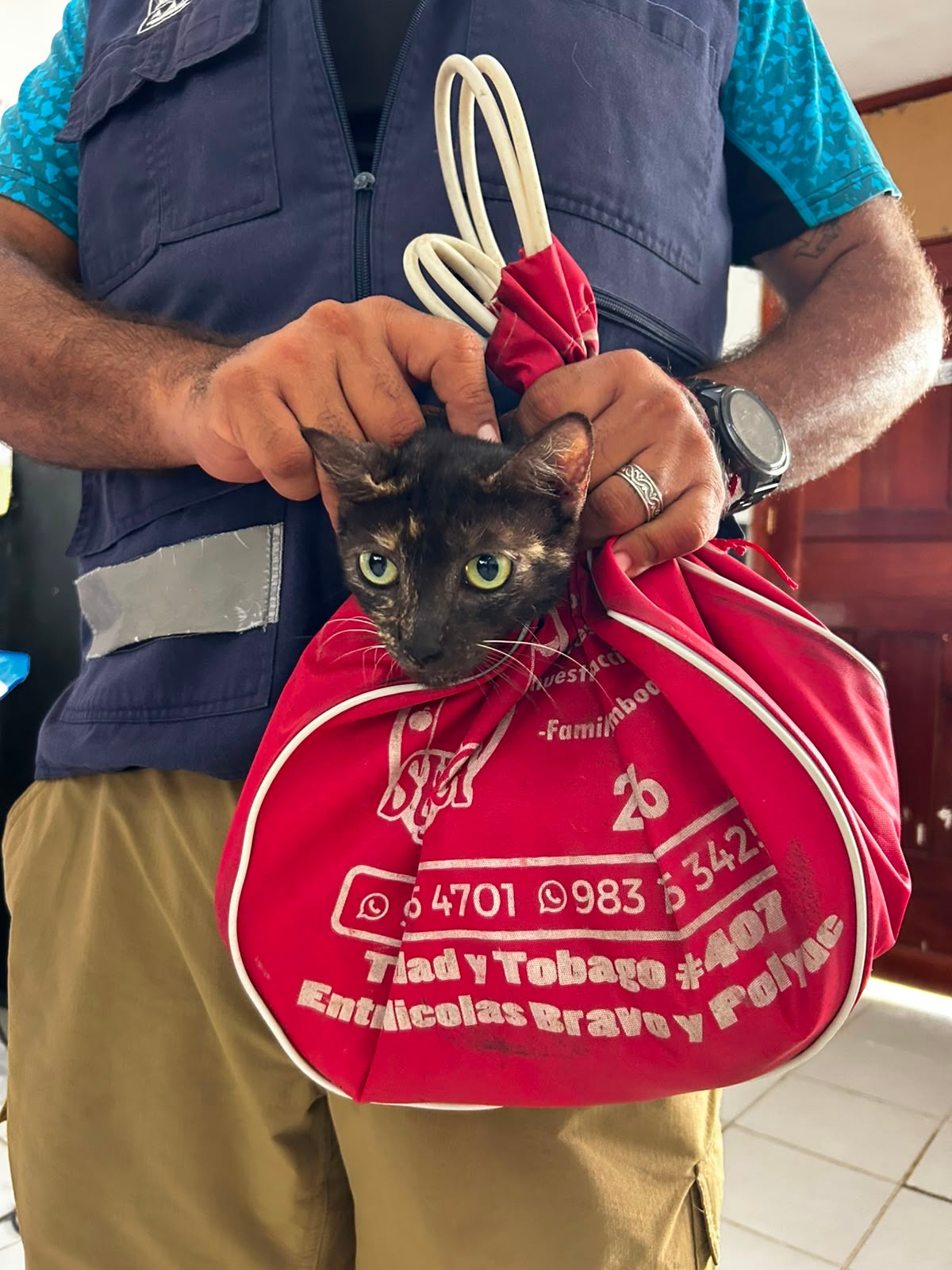 Realizan campañas de esterilización para promover el bienestar animal y la conservación de la fauna silvestre, en comunidades de la Reserva Estatal Santuario del Manatí – Bahía de Chetumal