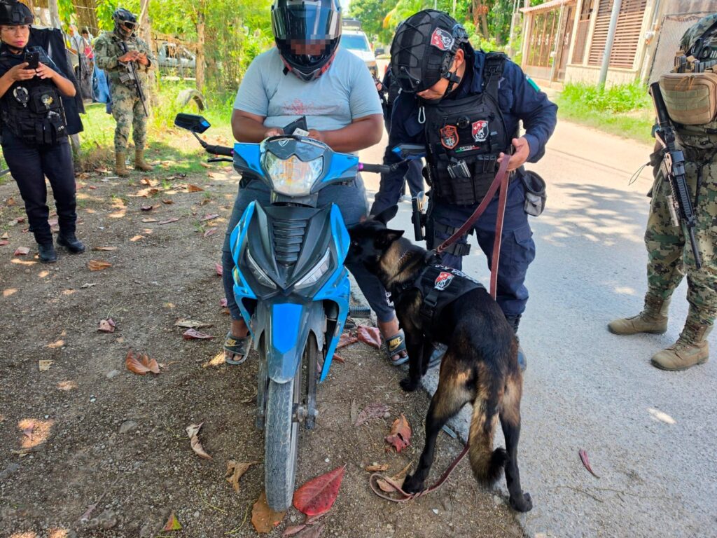 Unidad Canina fortalece las acciones de prevención y seguridad en Quintana Roo