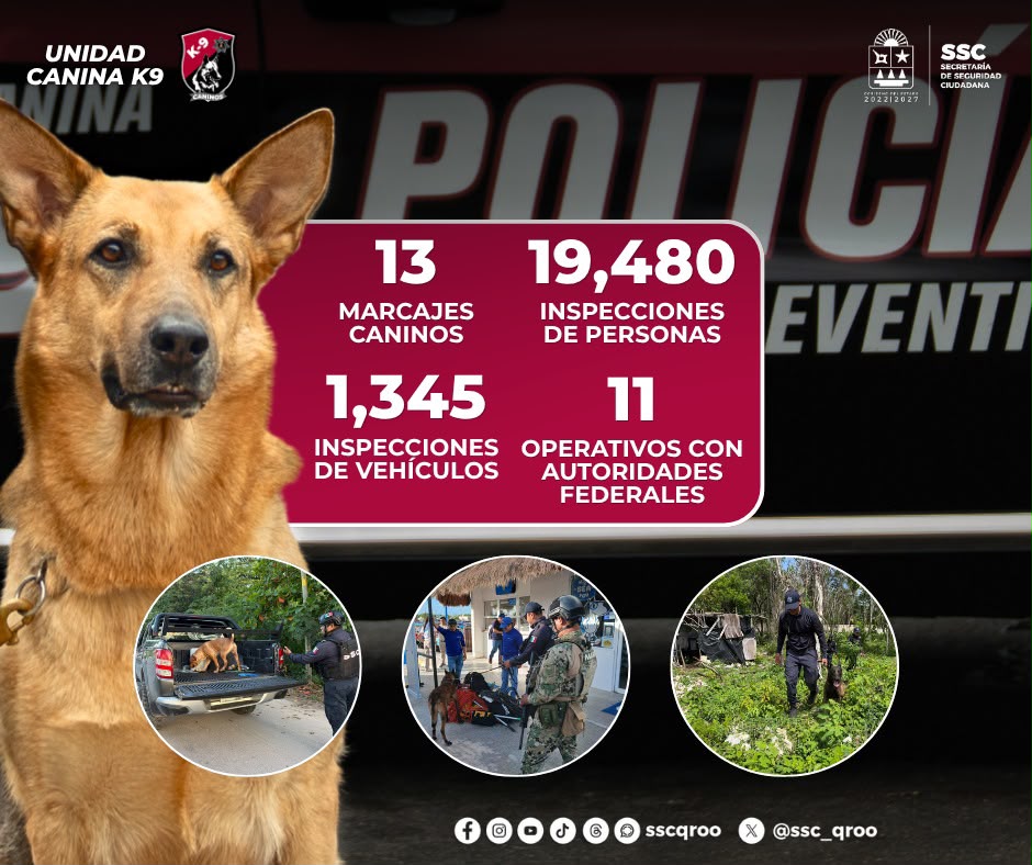 Unidad Canina de la SSC refuerza la vigilancia y prevención del delito en Quintana Roo